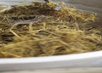 Meyan Kökü Yağı Kullanımı ve Faydaları Nelerdir?